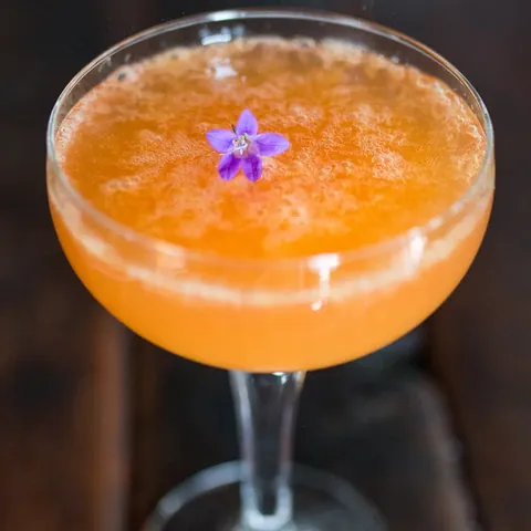 Orange cocktail in a coupe glass garnished with a purple flower